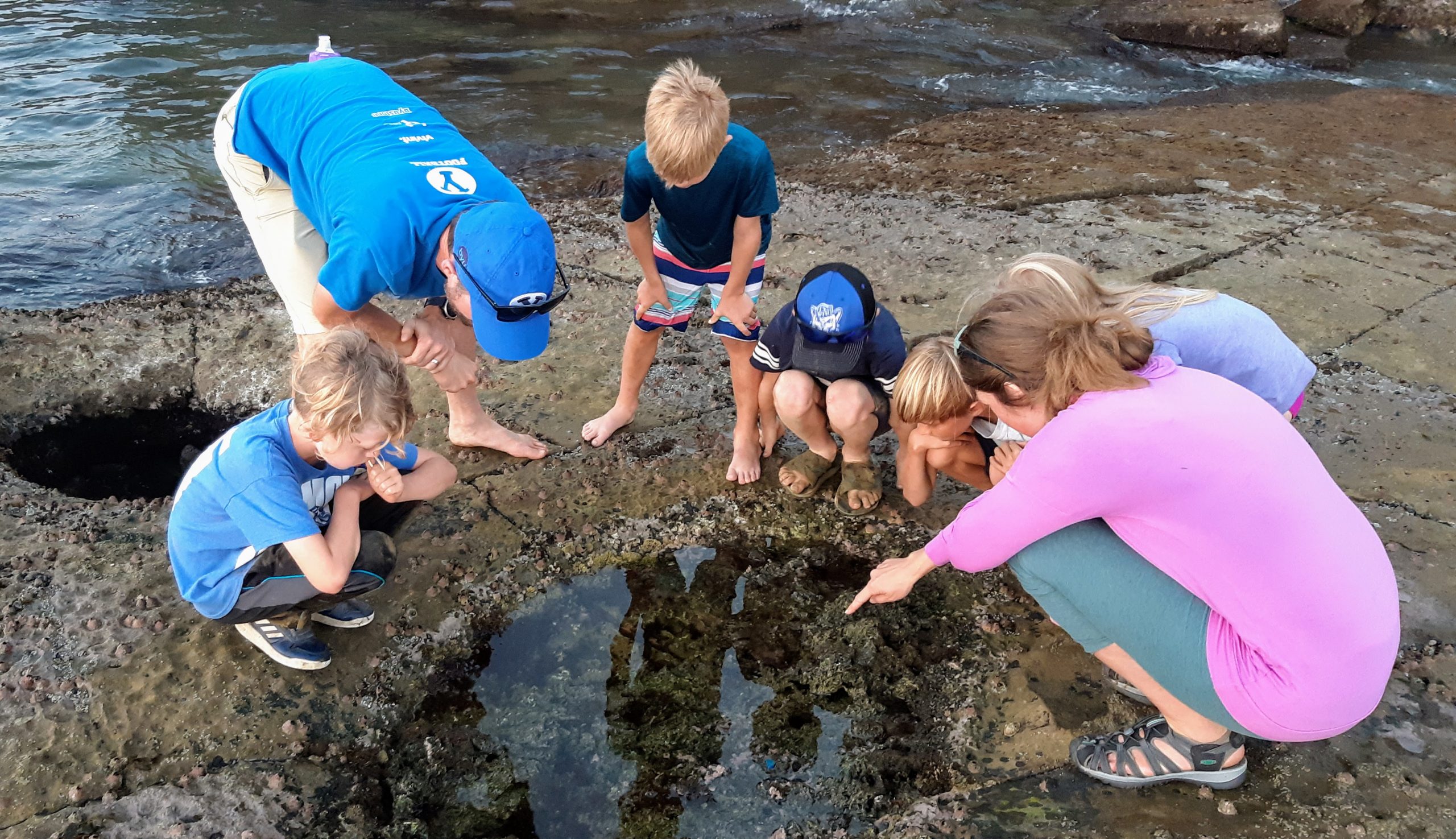 Exploring the Immensity of the Sea in Tidepools Passion for learning